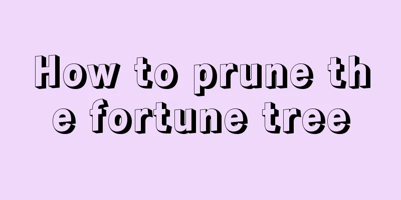 How to prune the fortune tree