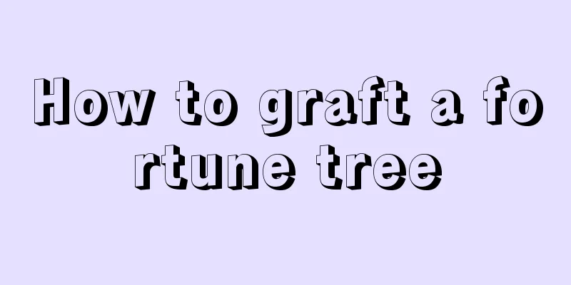 How to graft a fortune tree