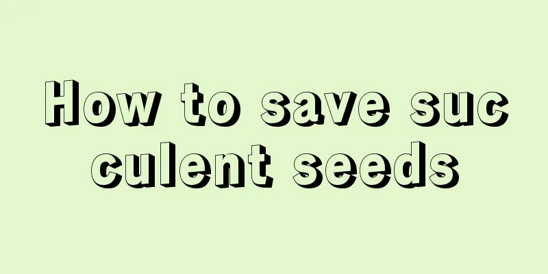 How to save succulent seeds