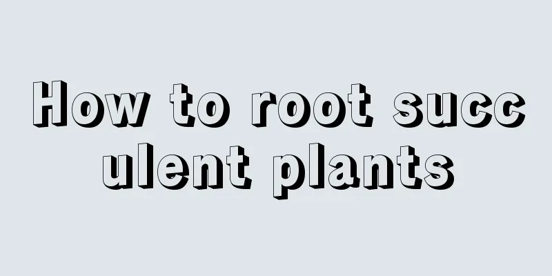 How to root succulent plants