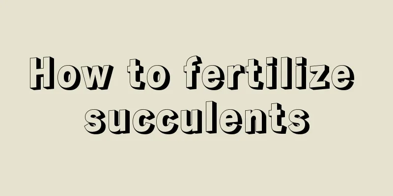 How to fertilize succulents