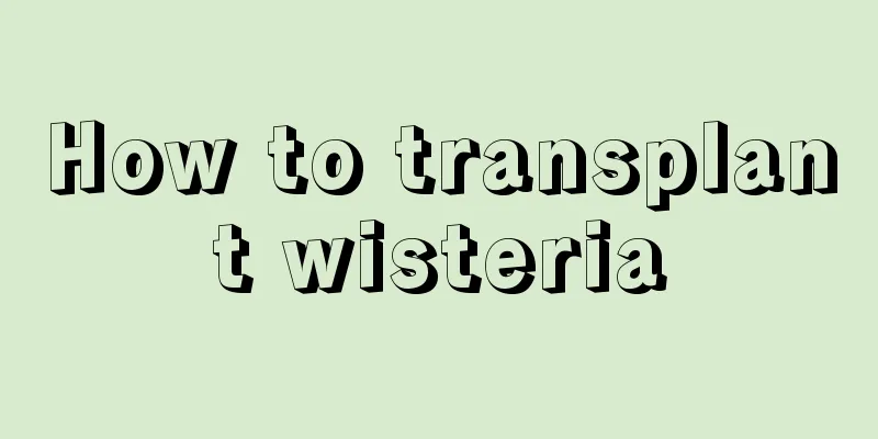 How to transplant wisteria