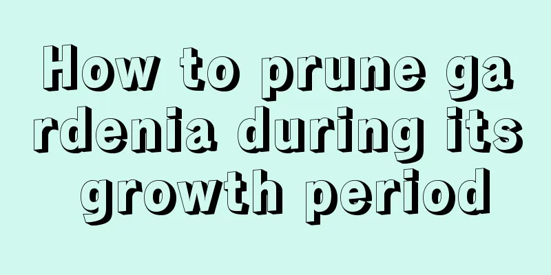 How to prune gardenia during its growth period