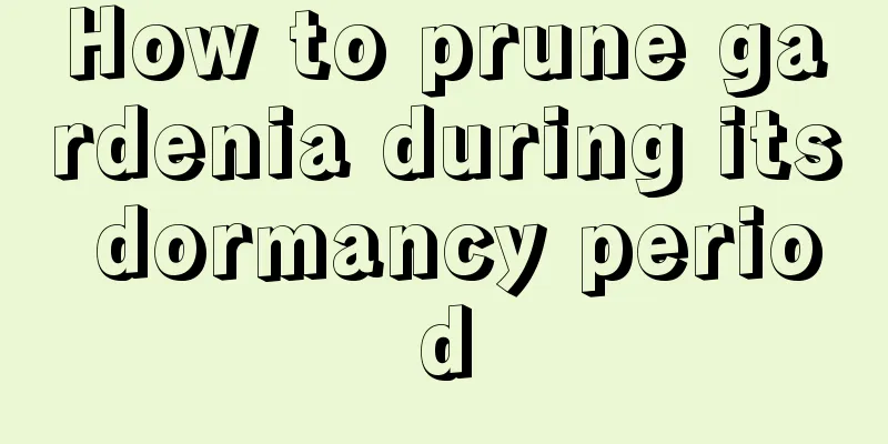 How to prune gardenia during its dormancy period