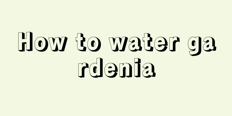 How to water gardenia