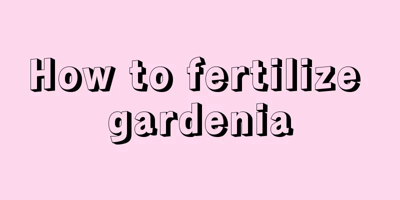 How to fertilize gardenia