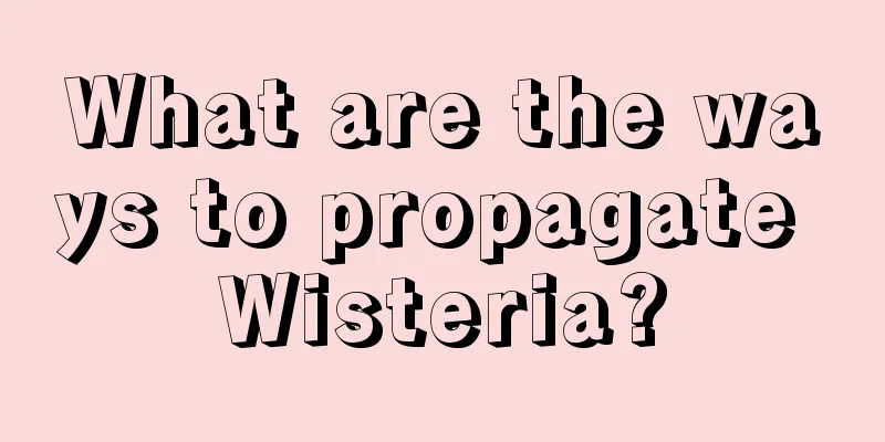 What are the ways to propagate Wisteria?