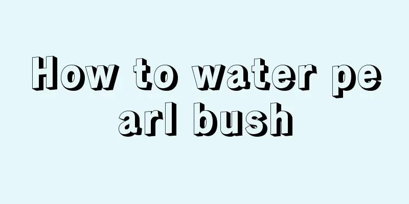 How to water pearl bush