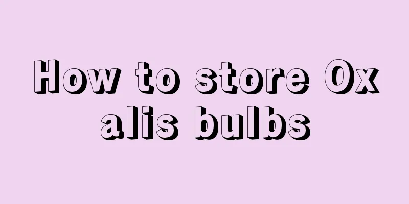 How to store Oxalis bulbs