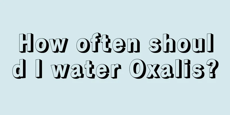 How often should I water Oxalis?