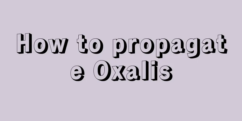 How to propagate Oxalis