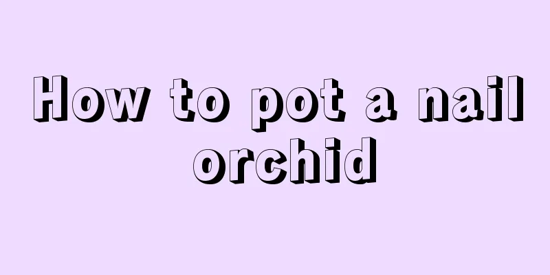 How to pot a nail orchid