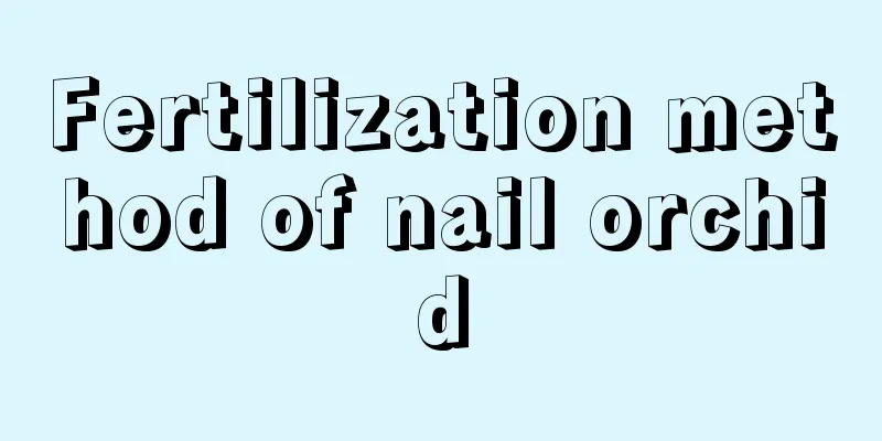 Fertilization method of nail orchid