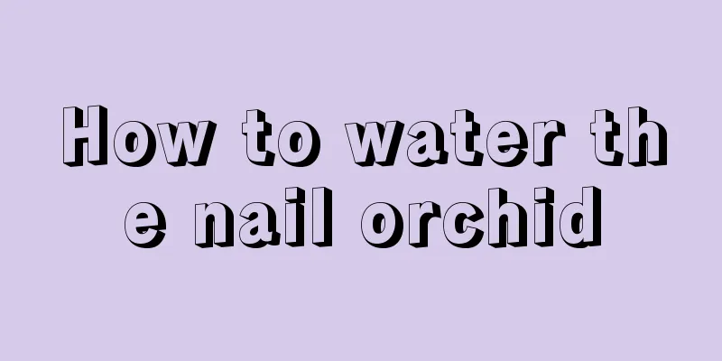 How to water the nail orchid