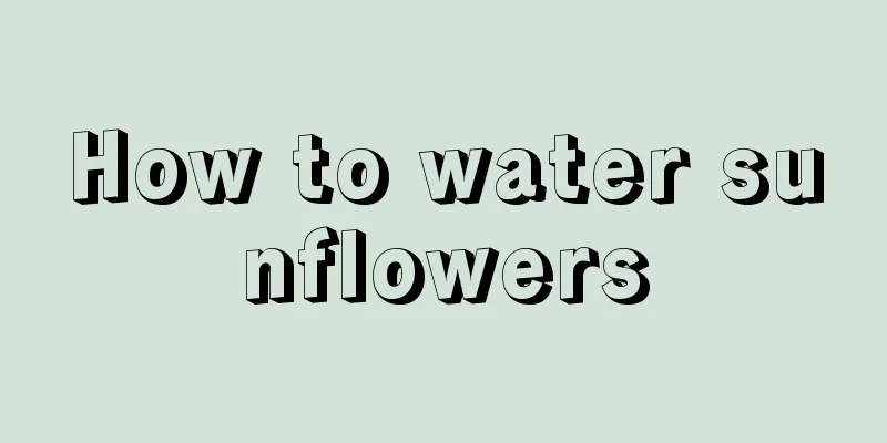 How to water sunflowers