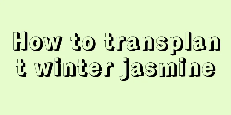 How to transplant winter jasmine