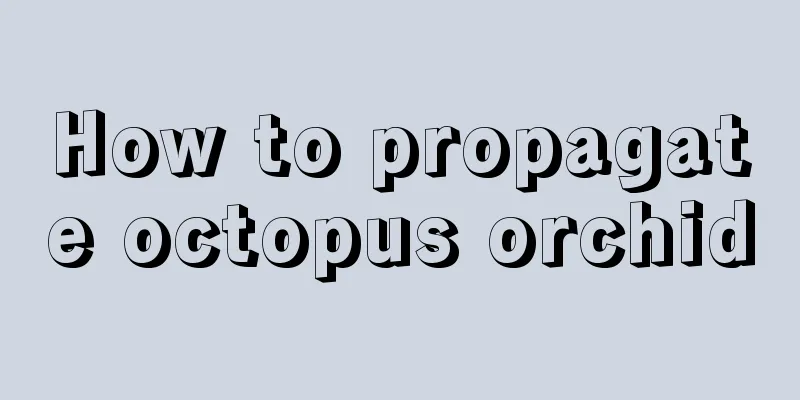 How to propagate octopus orchid