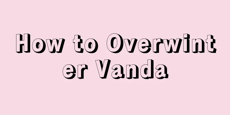 How to Overwinter Vanda