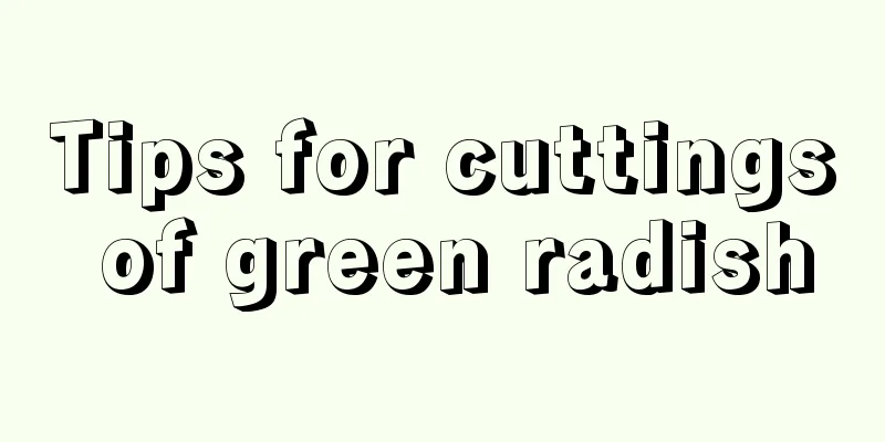 Tips for cuttings of green radish