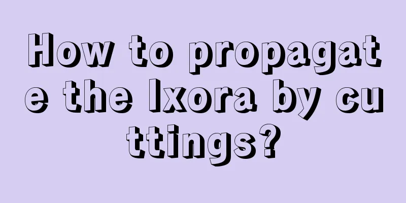 How to propagate the Ixora by cuttings?