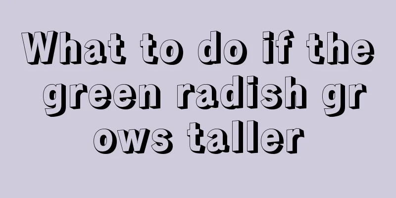 What to do if the green radish grows taller