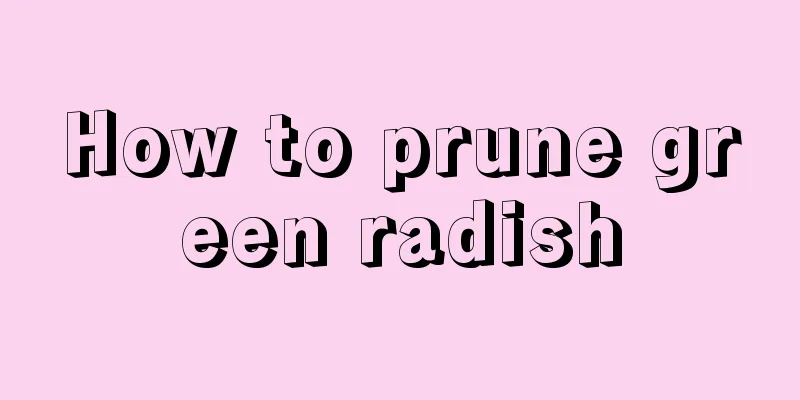 How to prune green radish