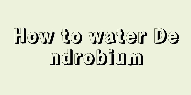 How to water Dendrobium