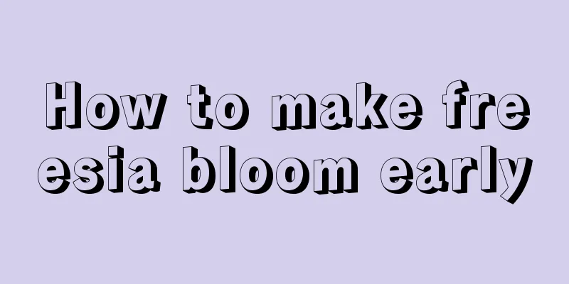 How to make freesia bloom early