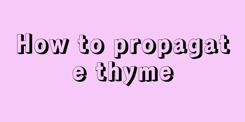 How to propagate thyme