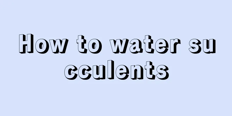 How to water succulents