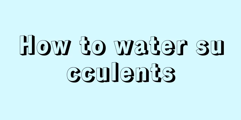 How to water succulents