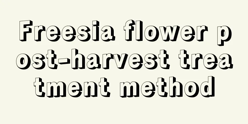 Freesia flower post-harvest treatment method