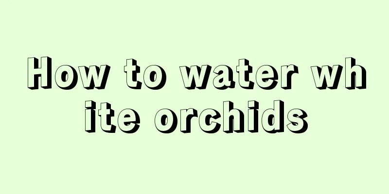 How to water white orchids