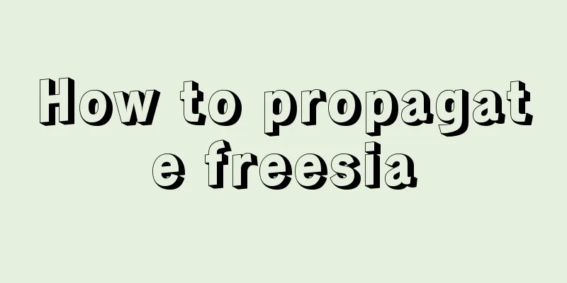 How to propagate freesia