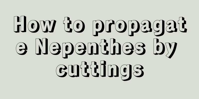 How to propagate Nepenthes by cuttings