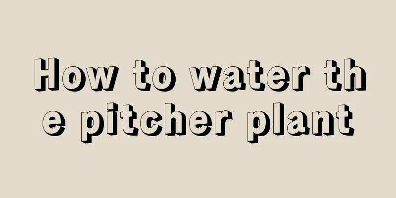 How to water the pitcher plant