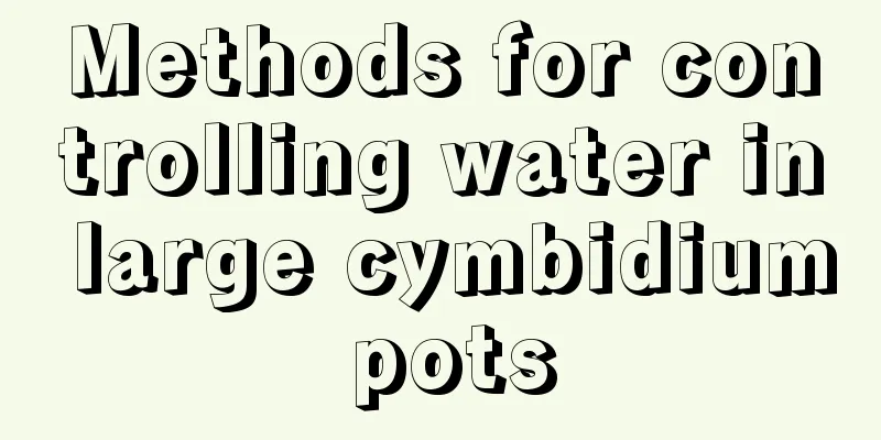 Methods for controlling water in large cymbidium pots