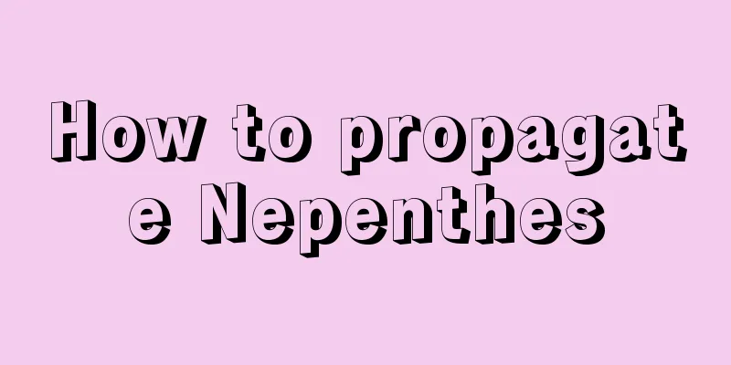 How to propagate Nepenthes