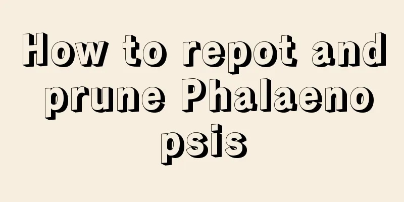 How to repot and prune Phalaenopsis