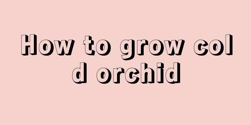 How to grow cold orchid