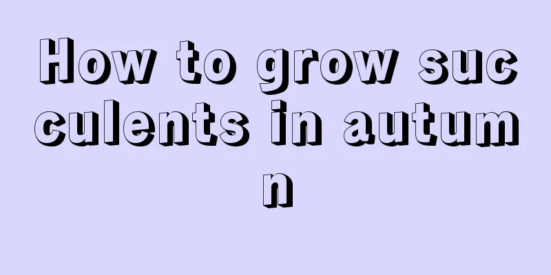 How to grow succulents in autumn