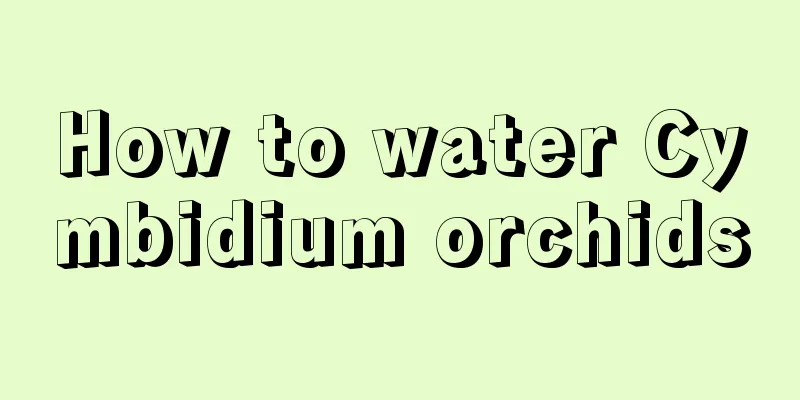 How to water Cymbidium orchids