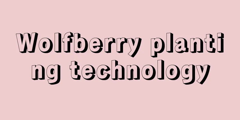 Wolfberry planting technology