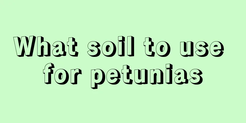 What soil to use for petunias