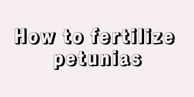 How to fertilize petunias