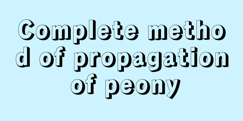 Complete method of propagation of peony