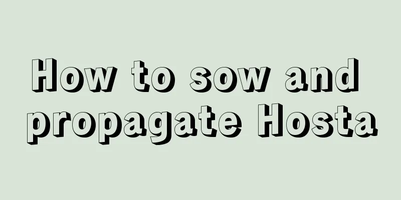 How to sow and propagate Hosta