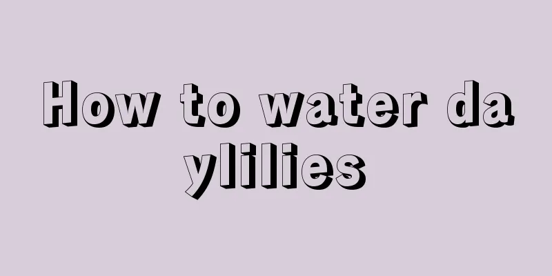 How to water daylilies