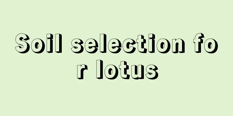 Soil selection for lotus