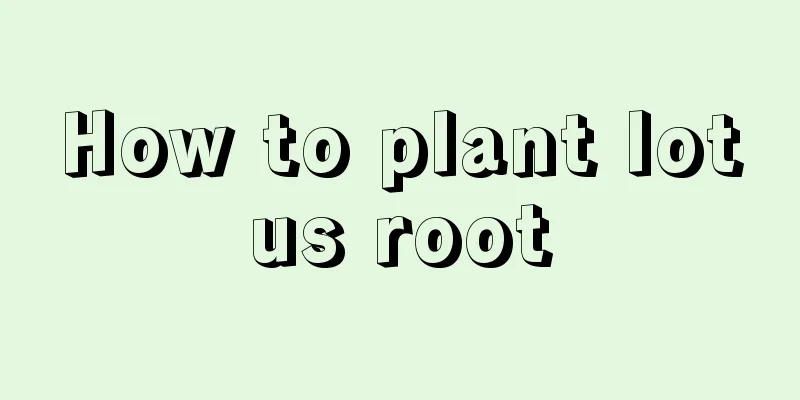 How to plant lotus root